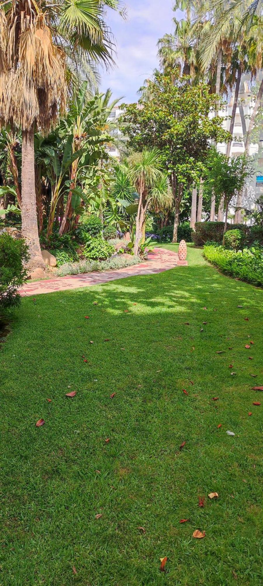 Oasis With 2 Bedrooms In Jardines Del Puerto Marbella